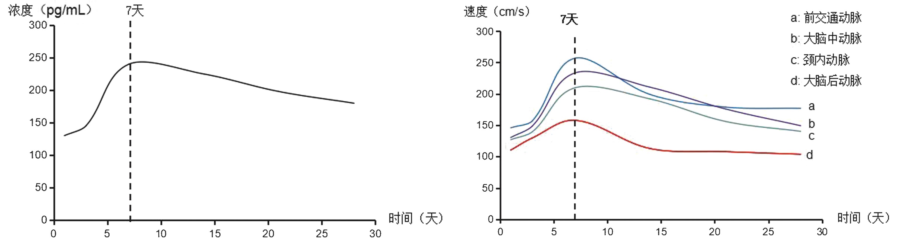 吴恒浩10.jpg