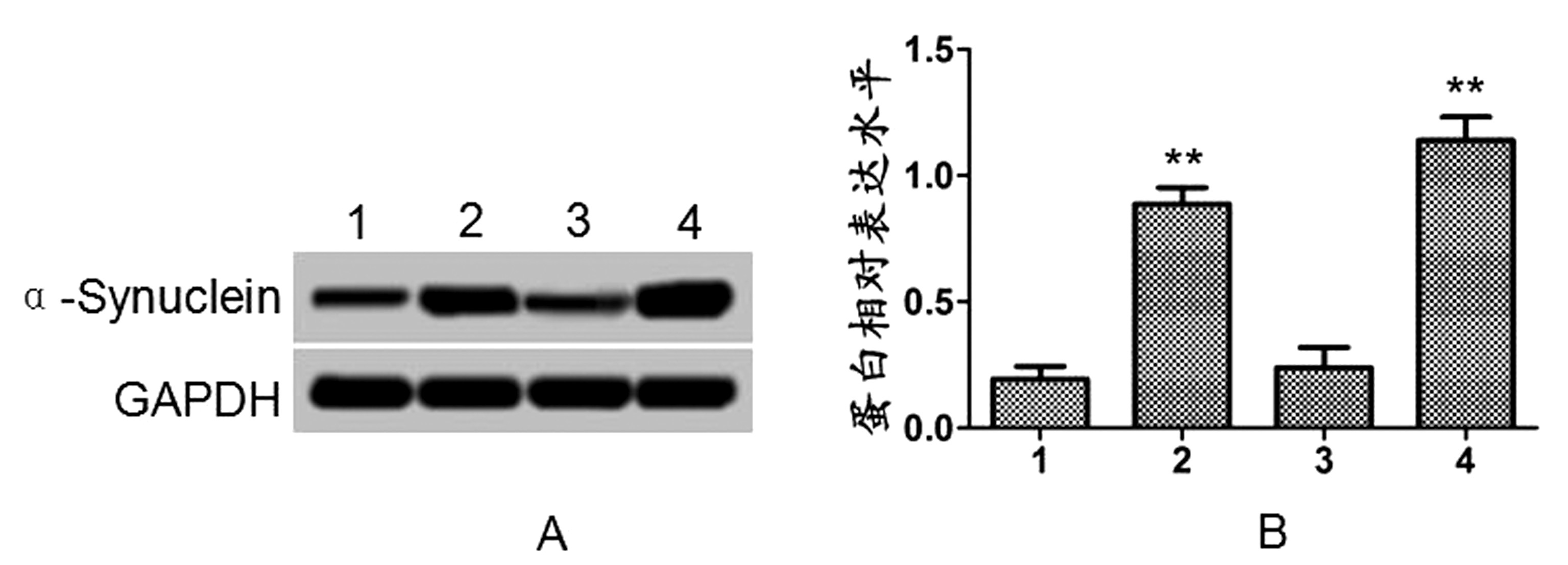 张黎军30.jpg