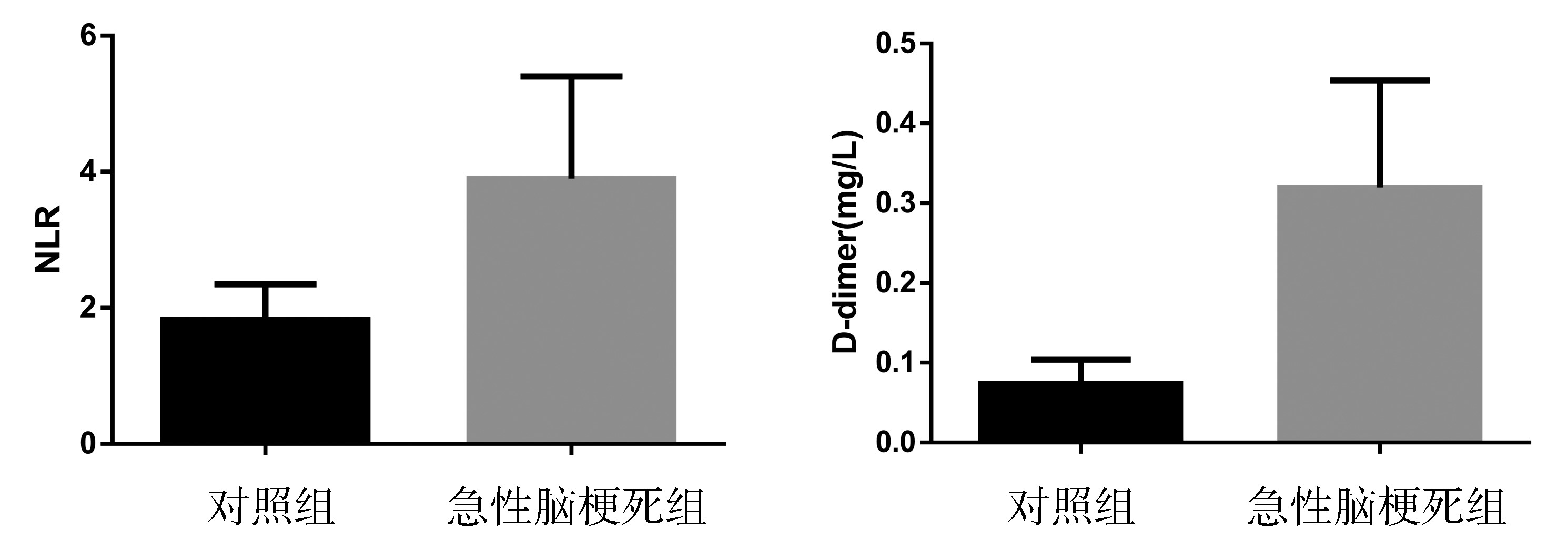 杨波10.jpg