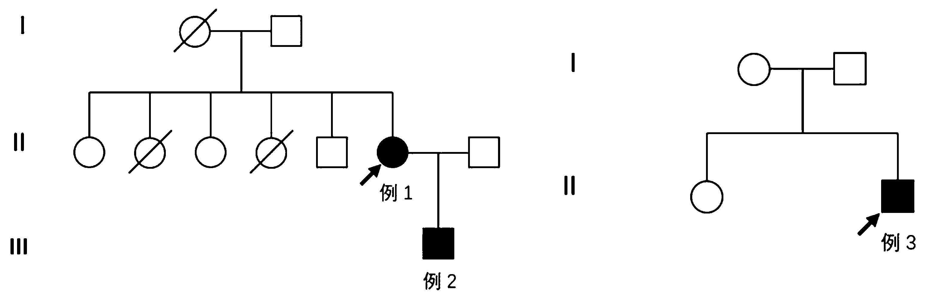 陈永康10.jpg